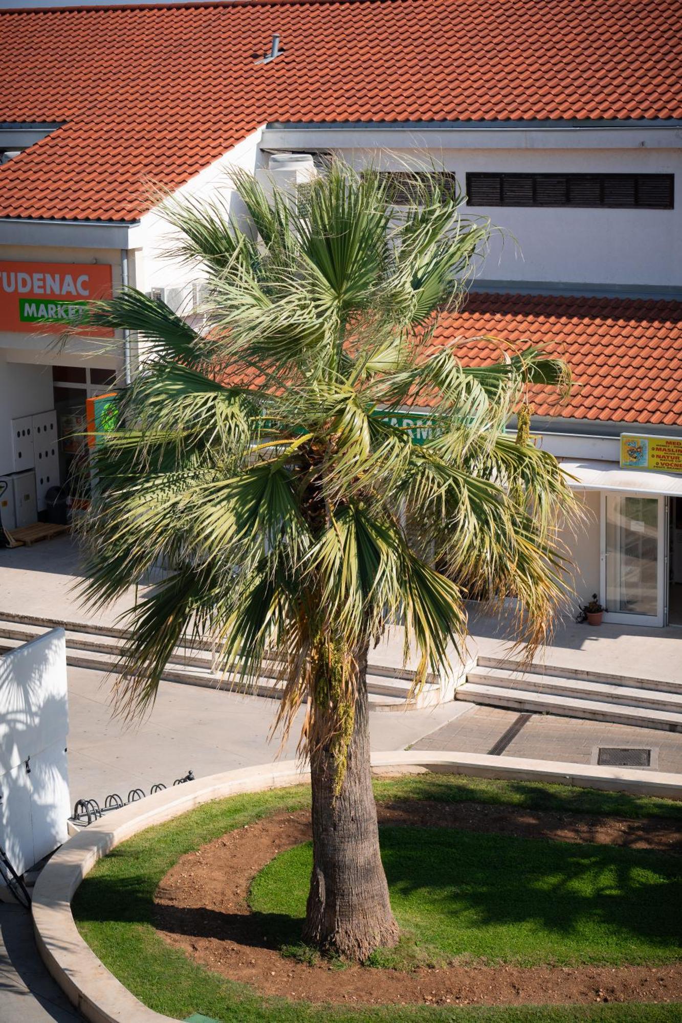 Apartments Centar Vodice Bagian luar foto