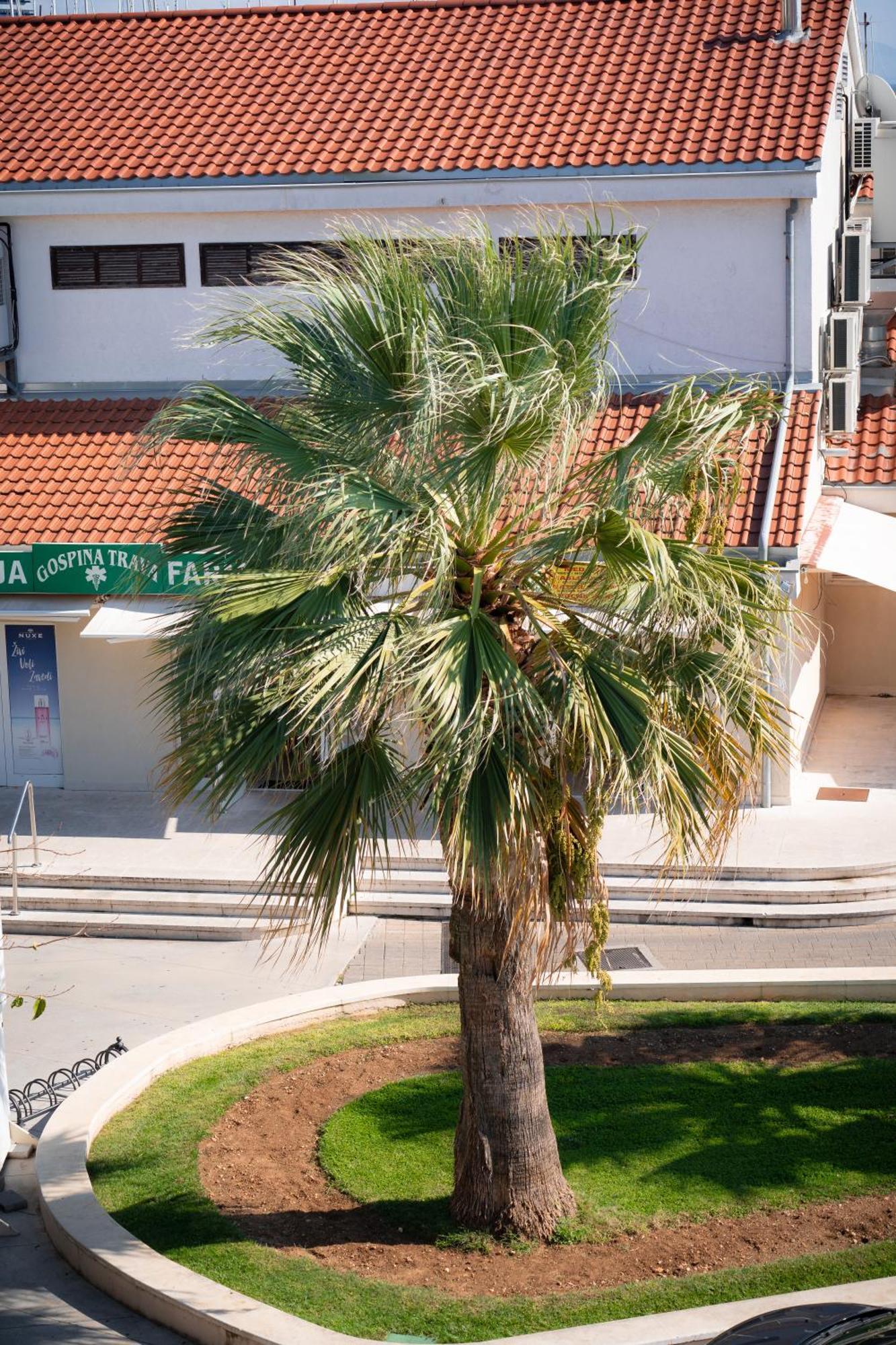 Apartments Centar Vodice Bagian luar foto